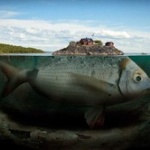 【閲覧注意】絶対深海に超巨大生物いるよな