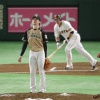 【悲報】ハムファン解散！！！ 	