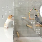 ブンチョ日誌