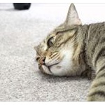 「好きの反対は無関心」って意味不明過ぎるだろｗｗｗ	