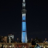 『みんな元気？　その１９』の画像