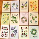 ペーパークイリング・完！！！