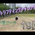 『バットリフティングチャレンジ』本日締め切り！