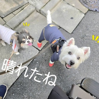 やっと晴れた！！