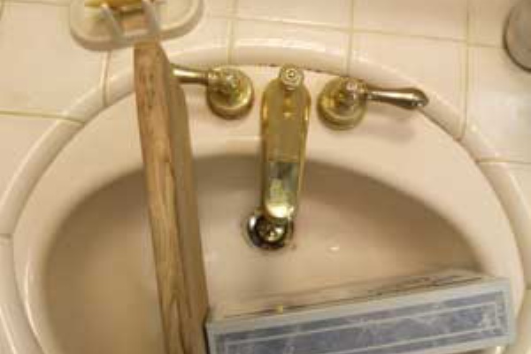 カリフォルニアのばあさんブログ 14年07月 Powered By ライブドアブログ