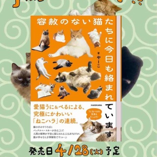 やーこばなし
