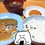 『ドタバタ月初と頑張るとーちゃん』の画像