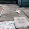 日向ぼっこ♪