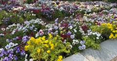 東京で癒しの休日｜HANABIYORIと花景の湯で過ごす日帰り温泉体験