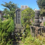 歴史と史料の散策