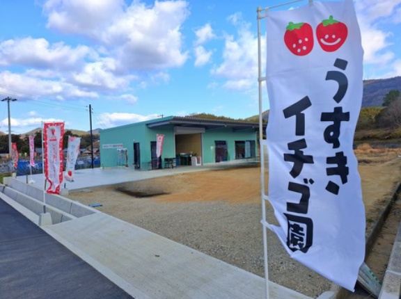 うすきイチゴ園　直売所　香川県三豊市