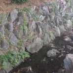 アラフォー無職ひきこもりの記録