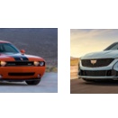 映画２本（上映中）