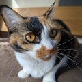 あきちゃん