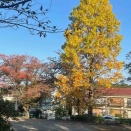 立冬、冬立つ、冬に入る、冬来る、今朝の冬