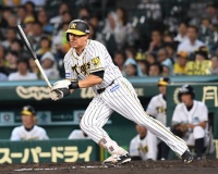 エフレン・ナバーロ(32歳)は阪神残留できるのか