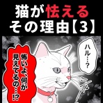 ほや助の ゾッとひと息ブログ