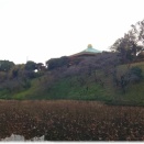 耳鼻咽喉科に行ってから頑張る。