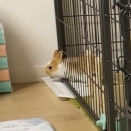 それでも小さい