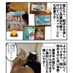 しゃーねこ家のblog