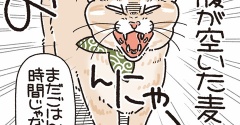 演技派な麦