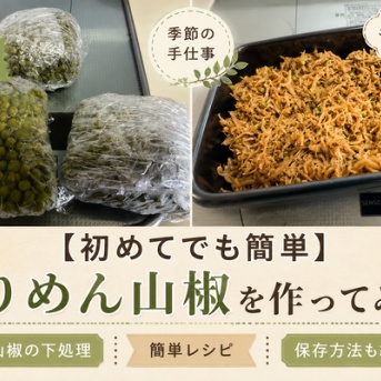 【初めてでも簡単】ちりめん山椒を作ってみた！実山椒の下処理・保存方法も紹介