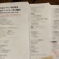 めっちゃ完成度高いVTuberゲーム実況マニュアル、流出へ