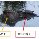 水のサイン大暴れ