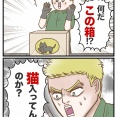 オーストラリアにヤマト便の箱で小包を送れない理由