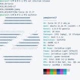 ��Zorin 17.3�٤β���
