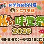 ドラクエ10をサービス終了までプレイしたプクリポのお話