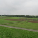 『朝から雨が降り続いています』の画像