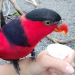 Machen Sie die beste Wahl ! !