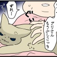 夜中、猫と寝た結果こうなった話