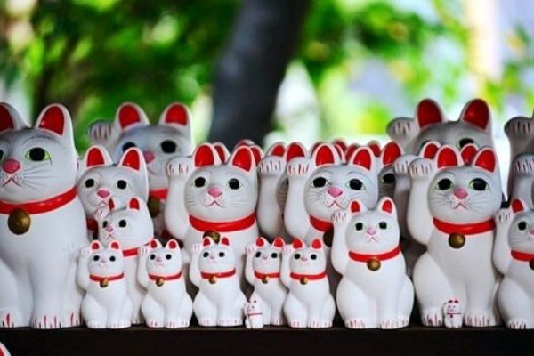 猫好き必見 ネコモチーフのお菓子 和菓子編 私は今これが欲しい I Want This Now