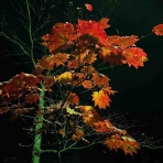 fucchiE公式blog『Eが大文字あと小文字』