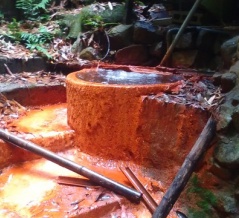 大阪の某　温泉
