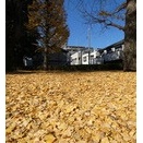 下北沢X物語（5310）-開戦記念日：十二月八日の霜の屋根幾万-