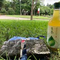 越後湯沢温泉での邂逅