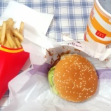 ¡Ø¥Þ¥¯¥É¥Ê¥ë¥É¡ÊMcDonalds¡Ë ºæ¹õÅÚŹ¡÷ÂçºåÉܺæ»ÔË̶è¹õÅÚÄ®¡Ù¤Î²èÁü