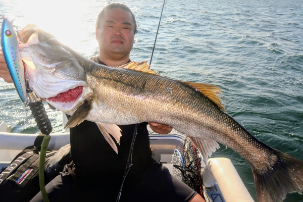 世界釣り大観　海外編 Feel like fishing anytime!] #269 Jigging in the Genkai Sea