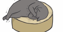 寝そべったまま猫の伸びる時のポーズが好き