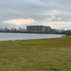 淀川大好きのウイングばか一代