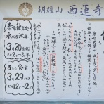 一言法話from西蓮寺inKyoto