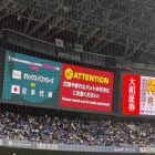 �������⚾️