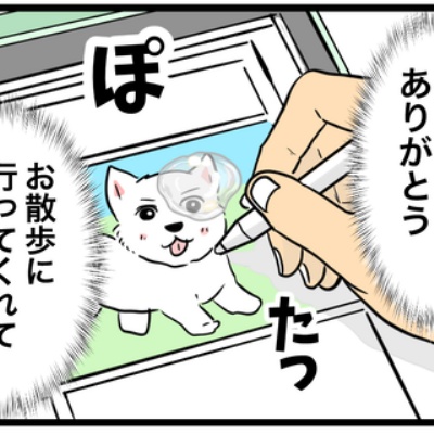 ちーちゃんっ🐾