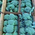 志津駅前　八百屋さん