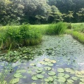 四万十市トンボ自然公園（トンボ王国）見学