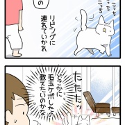 ご要求が強めの子!!