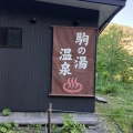 ずいぶん花が咲きました